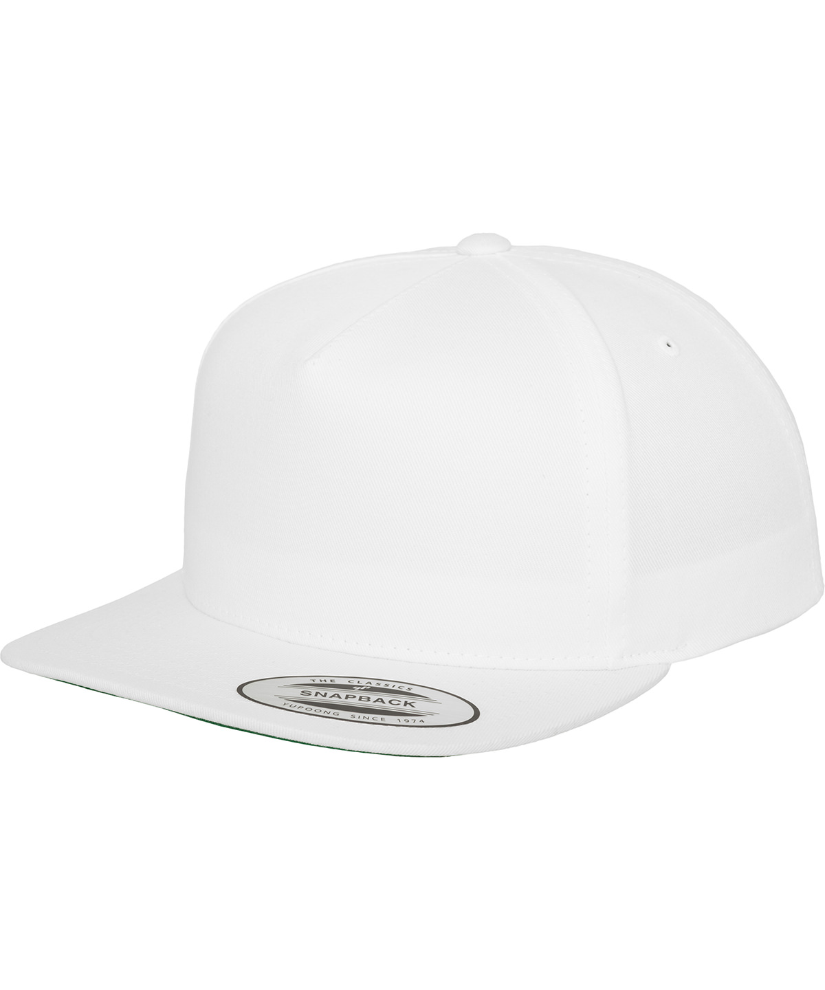 Classic 5-panel snapback (6007) White